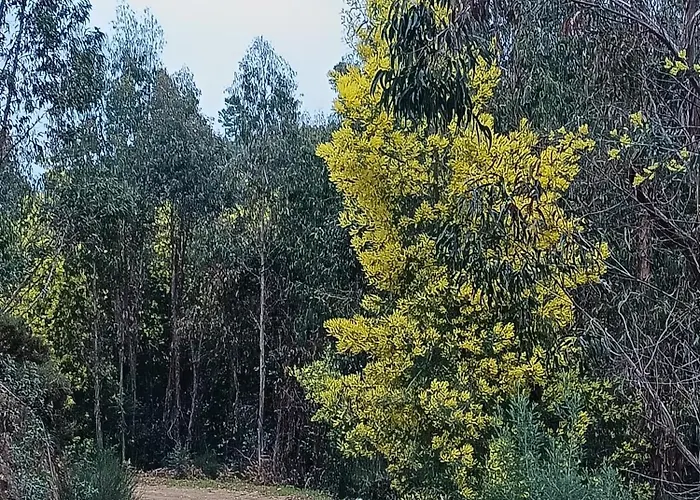 Feriehus Monte Emitaj