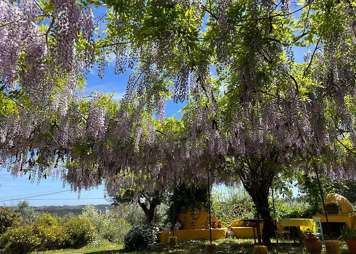Feriehus Monte Emitaj